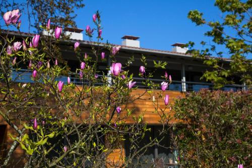 Apartamentos Casona De La Paca