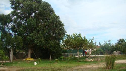 Masia Rural Can Ribes