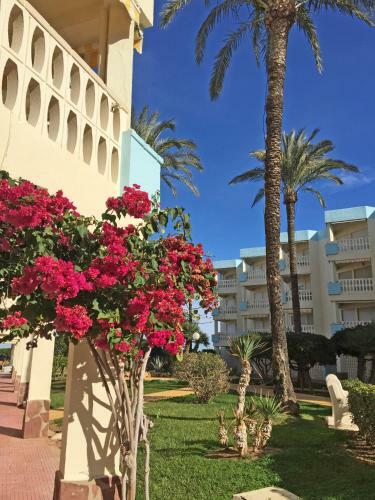 Holiday Beach Apartment