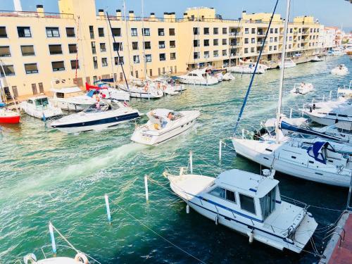 Apartamento Port Royal B-2 2�2