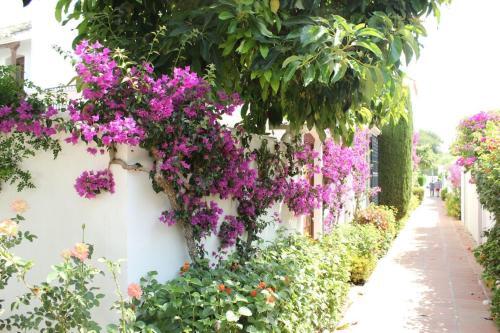 Apartamento Villacana 1619
