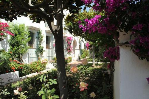 Apartamento Villacana 1619