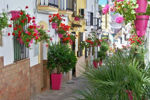 Apartamento Villacana 2503