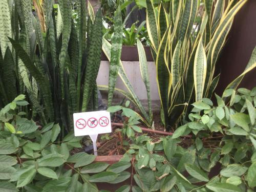 Apartamento Calle Casares N�mero 1