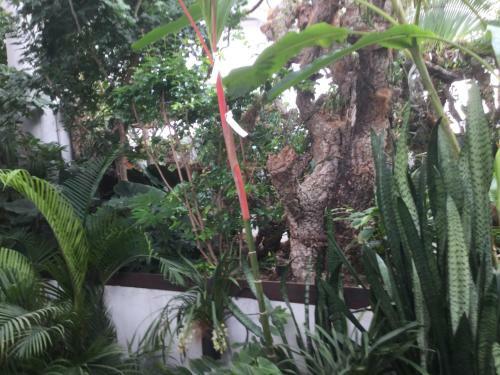 Apartamento Calle Casares N�mero 1