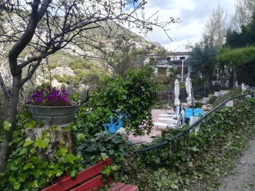 Agroturismo Cortijo Las Tres Rosas