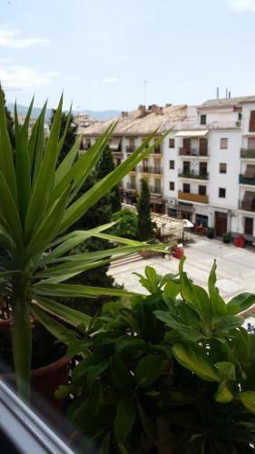 Hostal La Ninfa