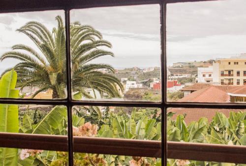 Canary Dreams Apartments