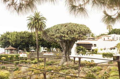 Canary Dreams Apartments