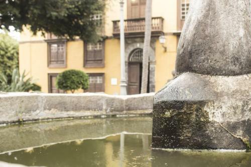 Canary Dreams Apartments