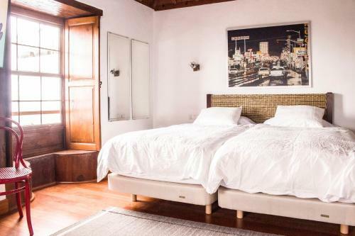 Canary Dreams Apartments