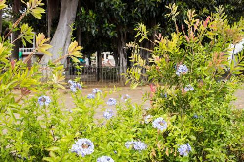 Sky Center Apartments