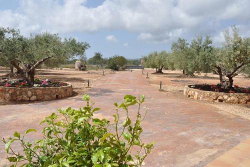 Mas Rabosenc By Hauzify