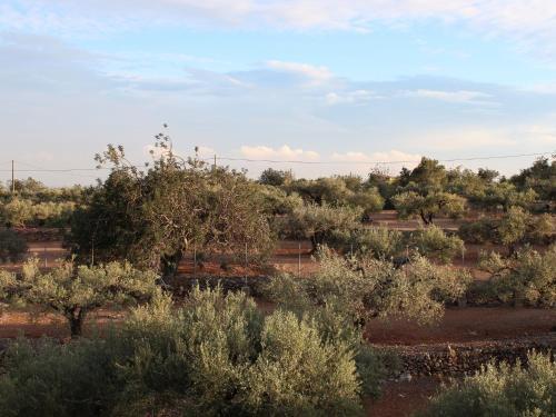 Serene Holiday Home In L'ampolla With Private Swimming Pool