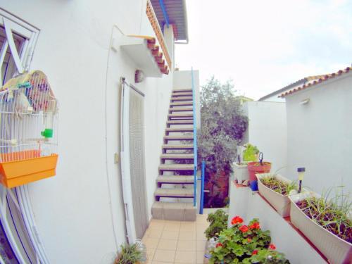 Apartamento Terracita Francisca