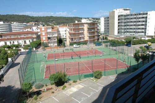 Apartamentos En Rocamaura