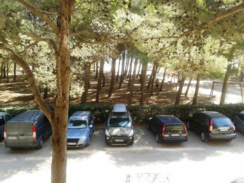 Rvhotels Apartamentos La Pineda