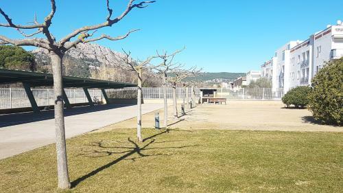 Apartamento Orquidea 2-1-inmoestartit