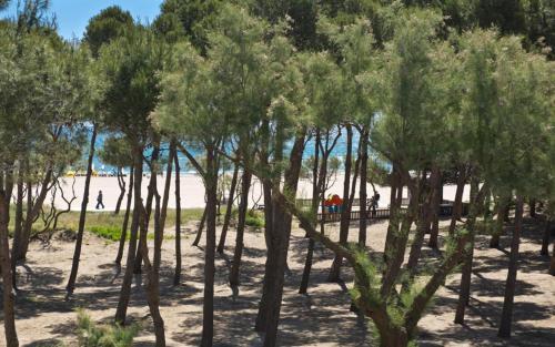 Apartments L'estartit/costa Brava 35230
