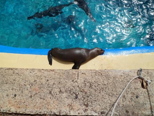 Kings-holiday Apartment Spain