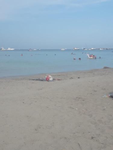 Apartment Av. Gran V�a De La Manga