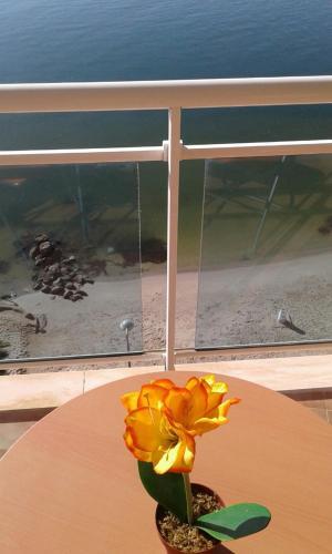 Apartamento Paraiso Del Sol