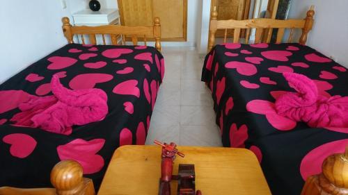 Apartamento Stunning La Mata Beach Suite