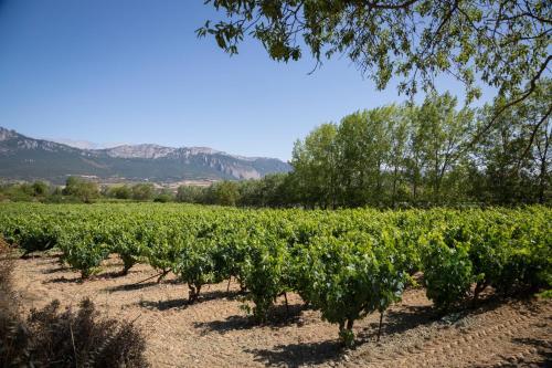 Agroturismo Mayor 35