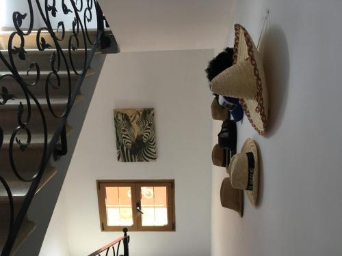 Villa Goyita Hostel
