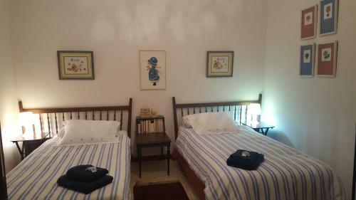 Vcv La Casa Del Patio