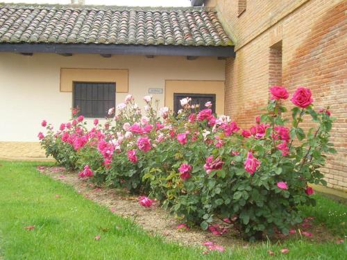 Hotel Dehesa La Cenia
