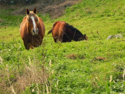 Apartment Alojamiento Rurales Vallanu
