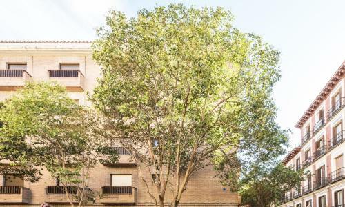 Apartamento L&h La Latina