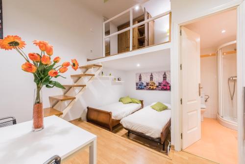 Apartamento Loft Malasa�a - Universidad