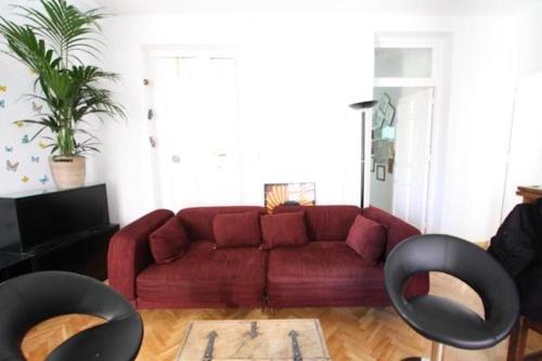 City House Apartment