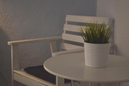 Albergue The Lights Garden