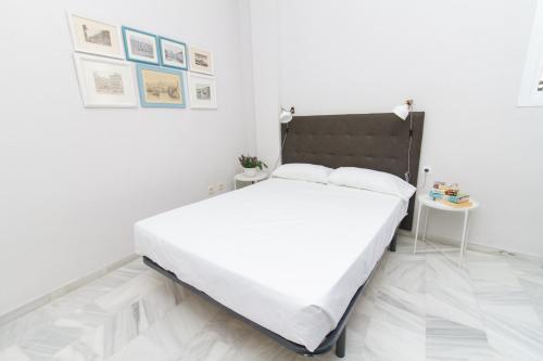 Lovely Apartment Carreteria