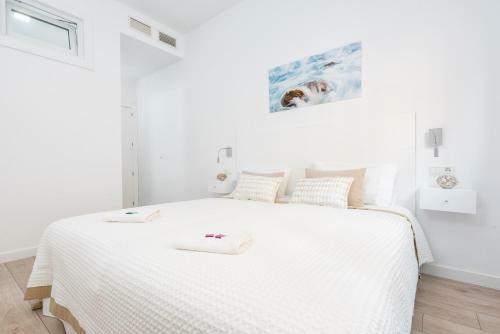 Two-bedroom Apartment Pinzon