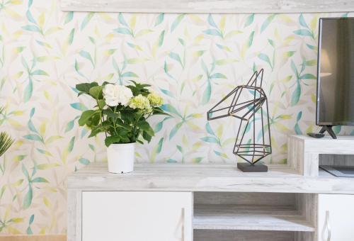 Apartamento Home �lamos Luxury