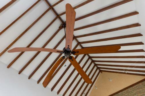 Three-bedroom Apartment With Terrace Lion