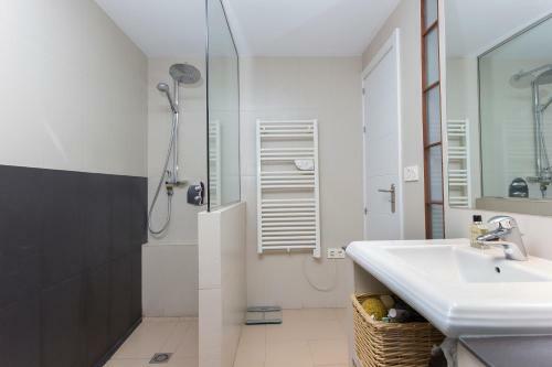 Three-bedroom Apartment With Terrace Lion