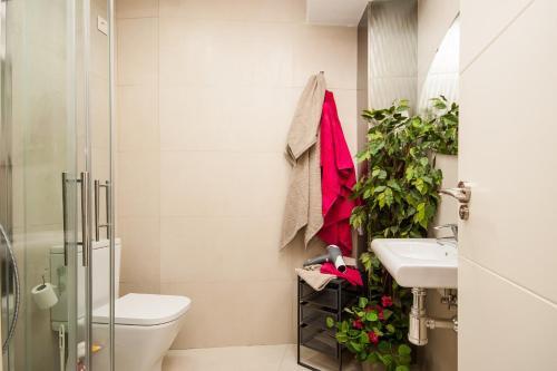 One-bedrom Apartment Maestranza