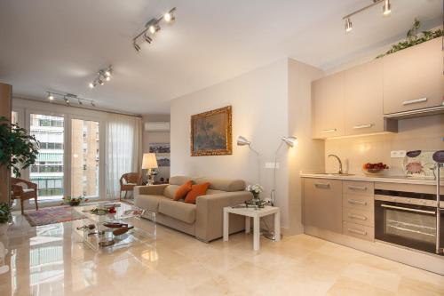 One-bedrom Apartment Maestranza