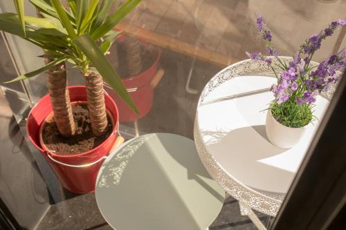 Apartamento Rustic Chic Studio Downtown
