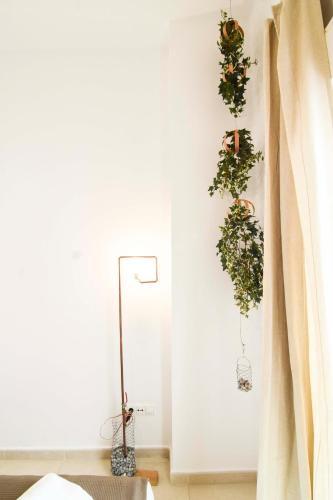 Apartamento Letmalaga Barcel�