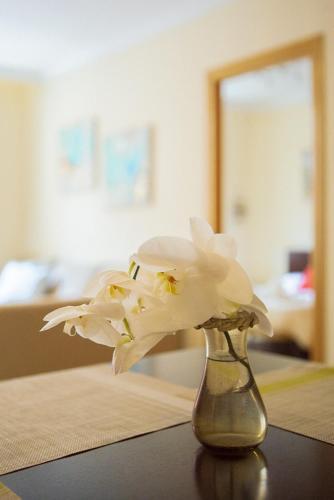 Apartamento Livemalaga Granados