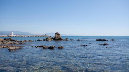 Apartamento Marina Del Castillo 1012