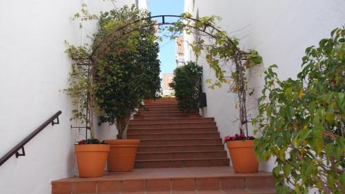 Apartamento Puerto Banus La Maestarnza