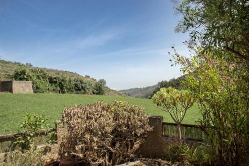 Apartamento Lightbooking- "el Laurel" Countryhouse