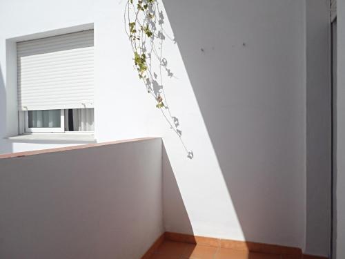 Apartamento Pulguilla C Menyber